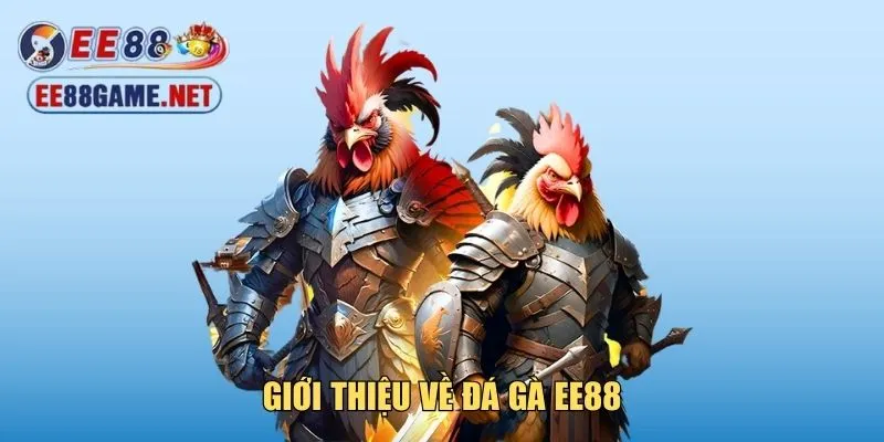 Giới thiệu về sảnh đá gà EE88