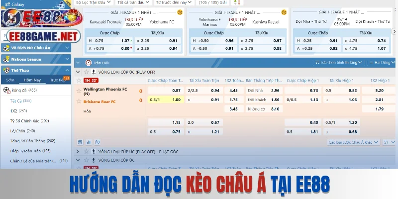 Hướng dẫn đọc kèo châu Á tại EE88 