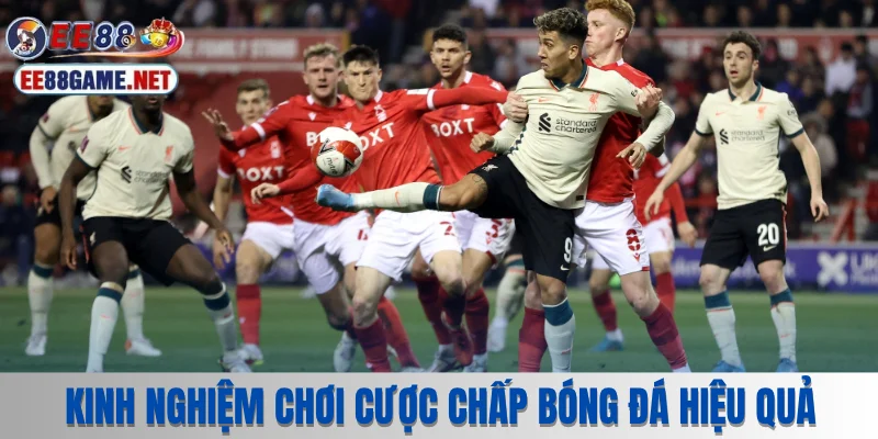 Kinh nghiệm chơi cược chấp bóng đá hiệu quả