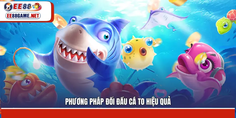 Phương pháp đối đầu cá to hiệu quả