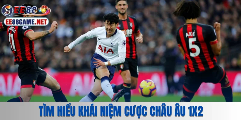 Tìm hiểu khái niệm cược châu Âu 1X2